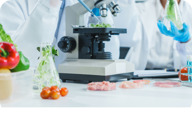 Soluções customizadas para desafios alimentícios