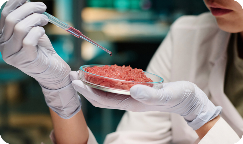 Garantia de qualidade - Garantimos qualidade com avaliação rigorosa de matérias-primas e produtos, assegurando conformidade com os mais altos padrões.