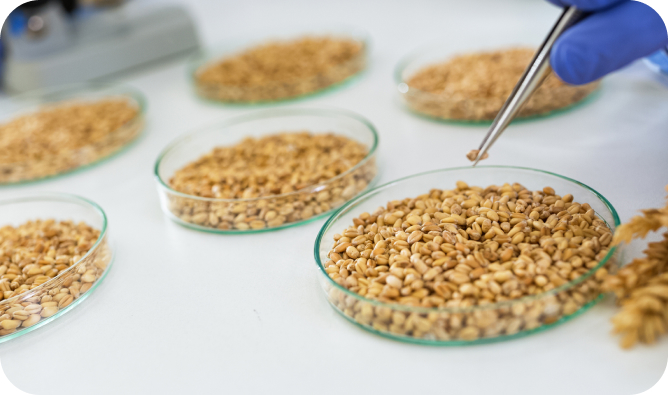 Performance evaluation of new ingredients
